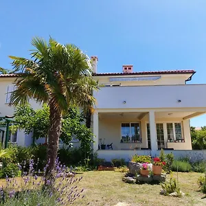 Danijel Krk Town